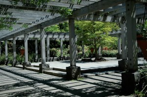 Courtyard at the Seattle Arboretum