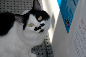 Morgan with her stupendous mustache lives there among the stacks.