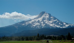 This is part of what I miss.