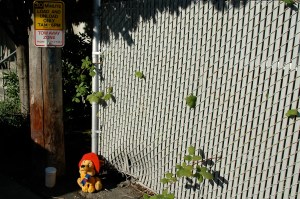 A discarded Teddy Bear-the city's grime is getting to me.