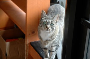 What do all these numbers mean?