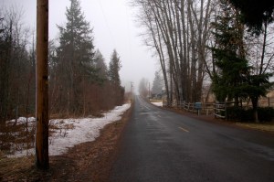 Walking on a foggy morning
