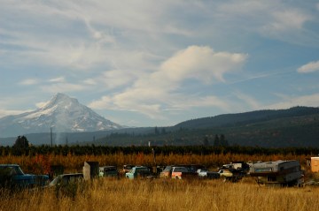 Mt. Hood in the fall