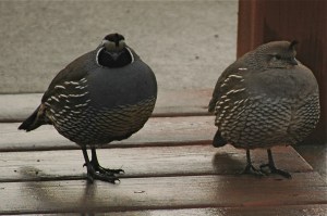 What's up with the weather?