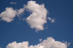 IMF Patient & Family Seminar