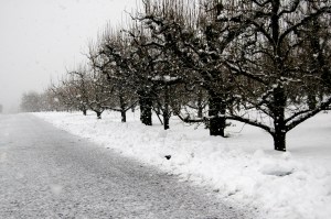 A road near my house