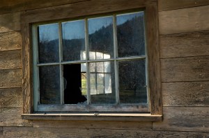 A Peek Through the Window of Life With Multiple Myeloma