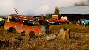 My Bone Marrow is a Junkyard of Used Up Chemo.