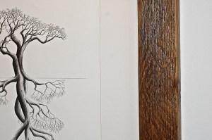 My son reclaims wood from demolitions sites and refashions it into outdoor furniture and picture frames. This is a detail of a frame for the drawings of a local artist.