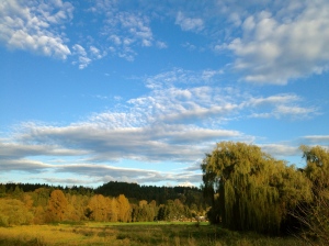 Life is beautiful: walking the Sammamish River Trail with friends in Seattle.