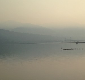 Solitary fly fisherman