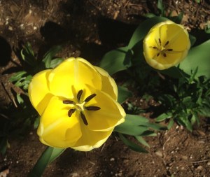 Ready or Not, Here I Come.