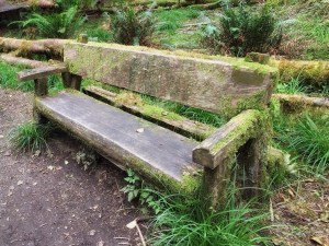 This is what happens if you leave your furniture outside in a rain forest.