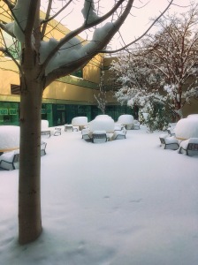 Courtyard of the hospital cafeteria.