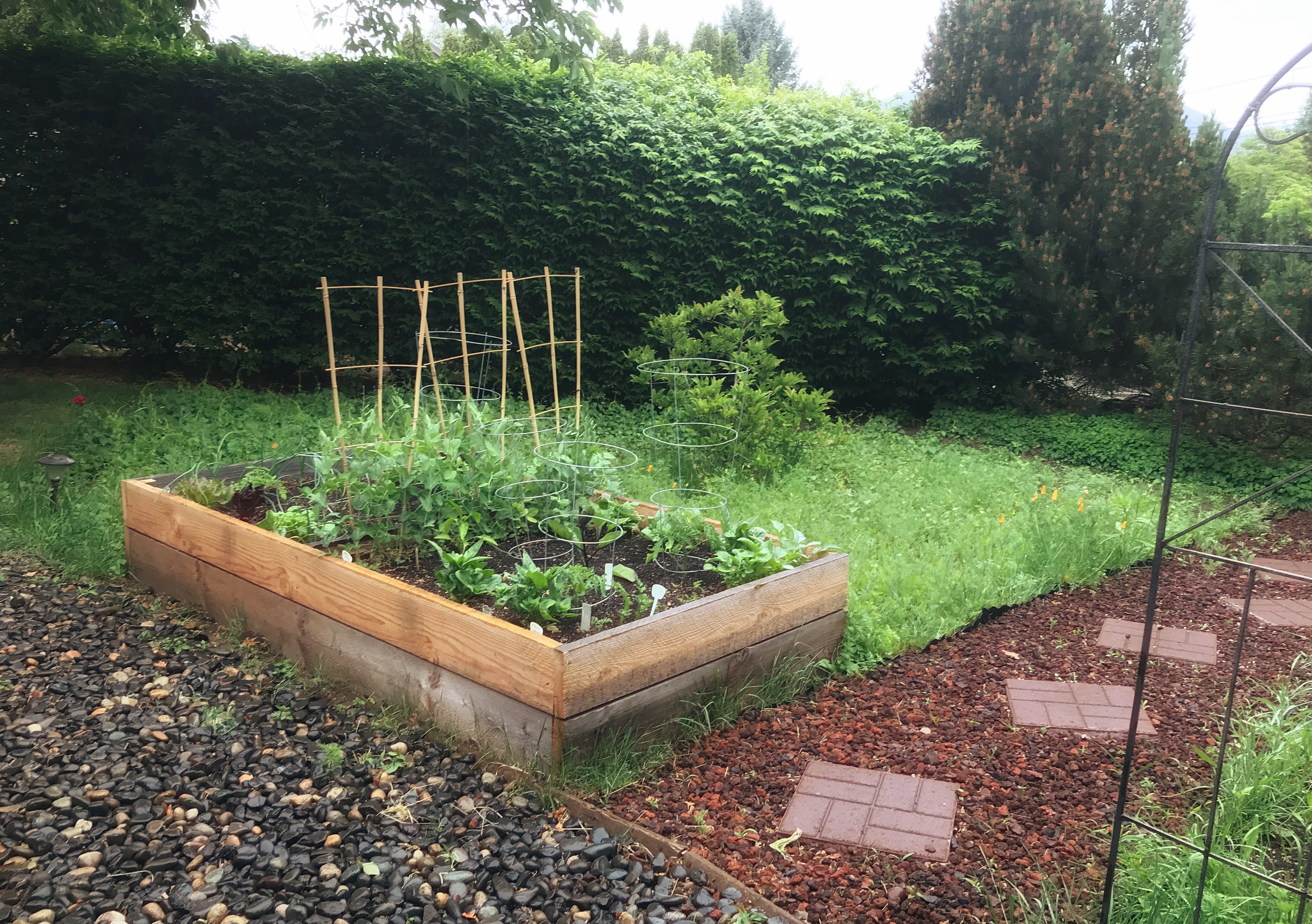 The Indifferent Gardener